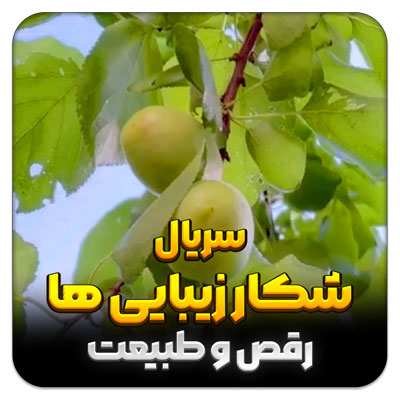 شکار زیبایی ها – قسمت 21 رقص و طبیعت